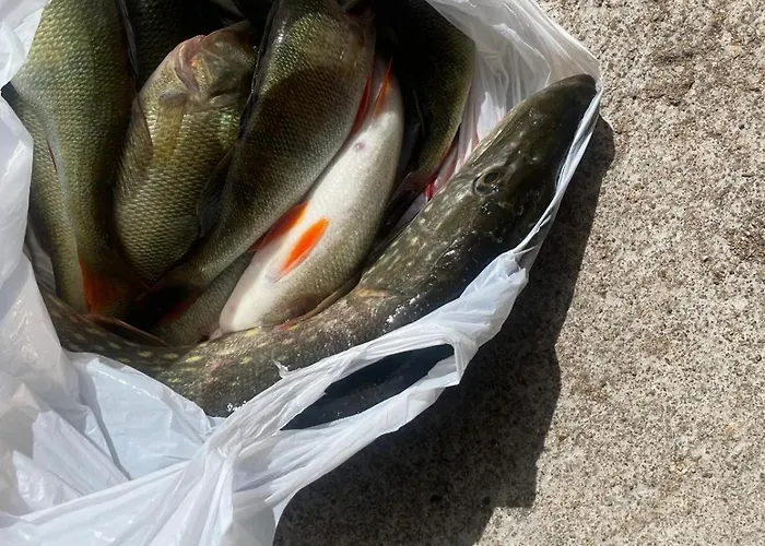 Old Hospital & Sauna At The